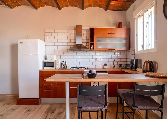 Atico Con Terraza En Fira - Negocios Y Turismo En Sants - Montjuic Barcelona